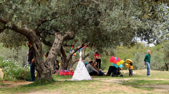 Un super anniversaire au parc