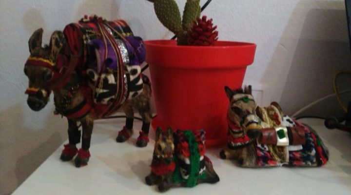 Achetez un âne pour aider un artisan