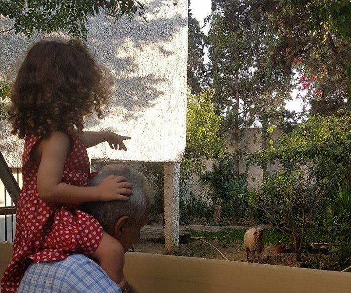 l'Aïd Kbir en Tunisie : souvenirs familiaux, méchoui délicieux, traditions culinaires et moments précieux. Découvrez nos récits authentiques sur Bientna.com.tn