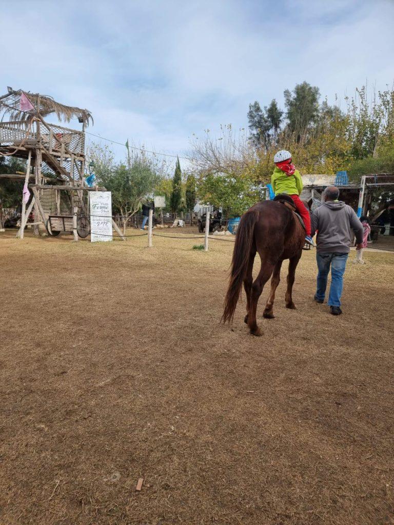 balade à cheval à la ferme pour les enfants