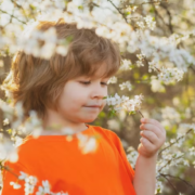 Des ateliers pour enfants au festival du printemps